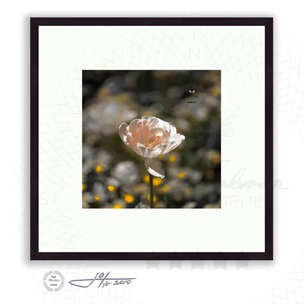 Black Frame | 16x16 | 20x20