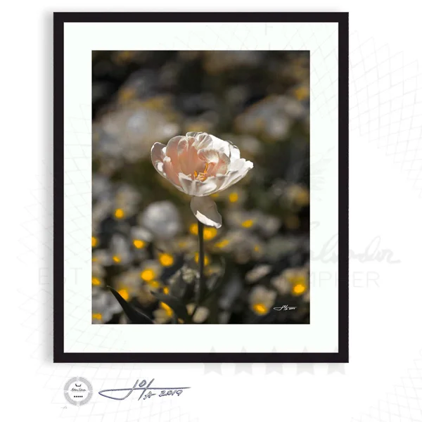 Black Frame | 16x20 | 20x24