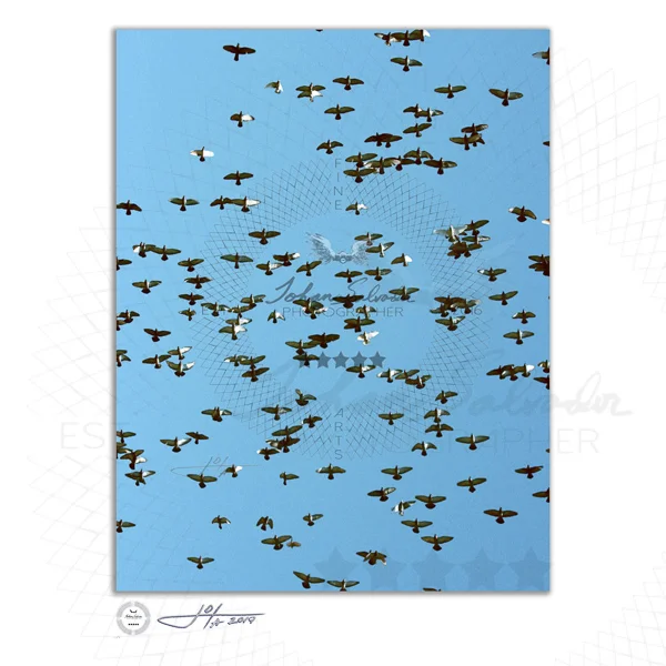Birds Flying Across a Blue Sky - Limited Edition Fine Art Photography