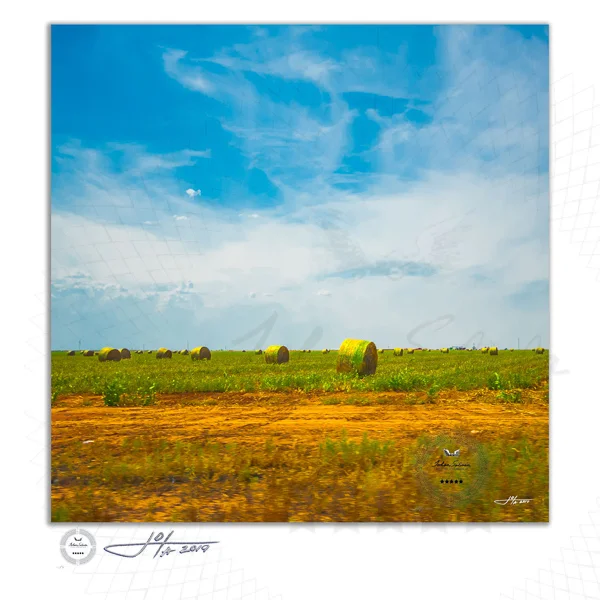 Fine Art Print | 16x16 | 20x20 | 30x30