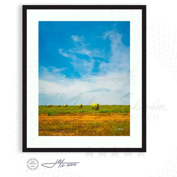 Black Frame | 16x20 | 20x24