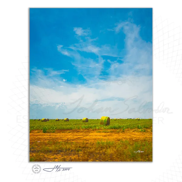 Fine Art Print | 16x20 | 24x30 | 40x50