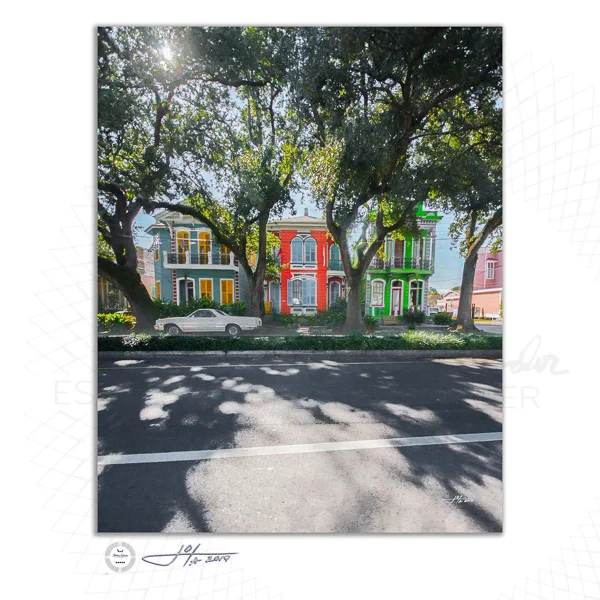 Fine Art Print | 16x20 | 24x30 | 40x50