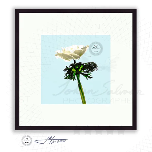 Black Frame | 16x16 | 20x20