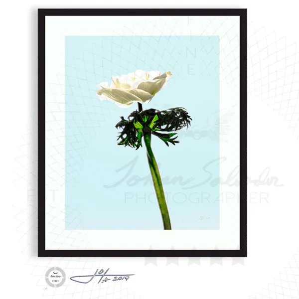 Black Frame | 16x20 | 20x24