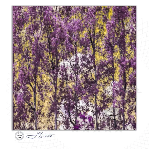 Fine Art Print | 16x16 | 20x20 | 30x30