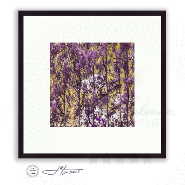 Black Frame | 16x16 | 20x20