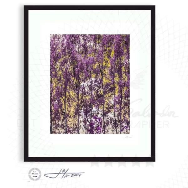 Forest for the Trees No. 1 (Purple and Yellow)  - Limited Edition Fine Art Photography