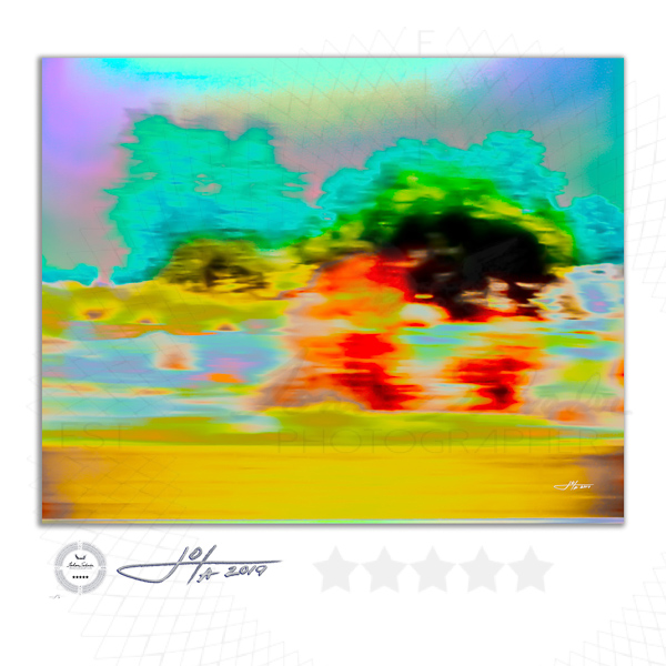 Fine Art Print | 20x16 | 30x24 | 50x40