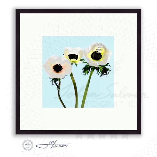 Black Frame | 16x16 | 20x20