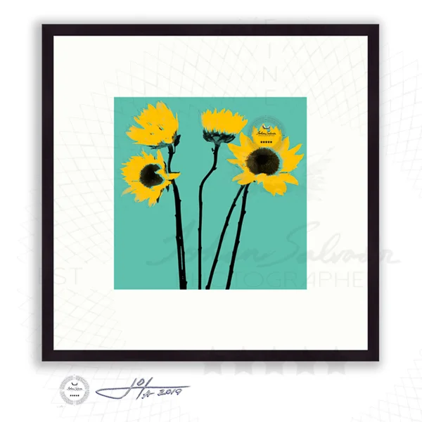 Black Frame | 16x16 | 20x20