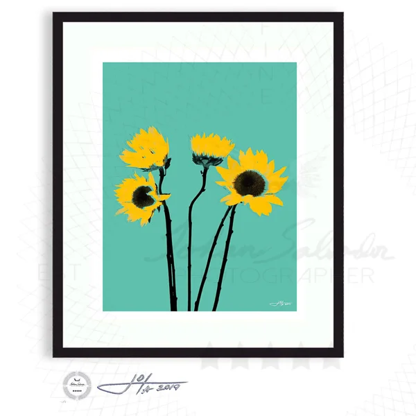 Black Frame | 16x20 | 20x24