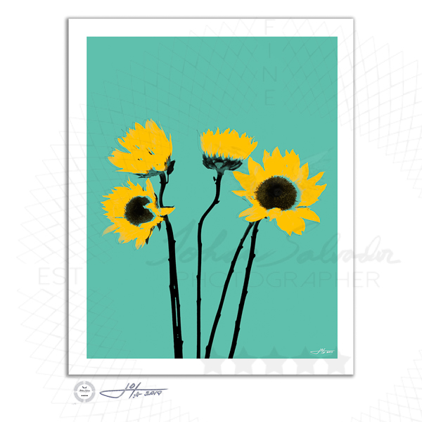 Fine Art Print | 16x20 | 24x30 | 40x50