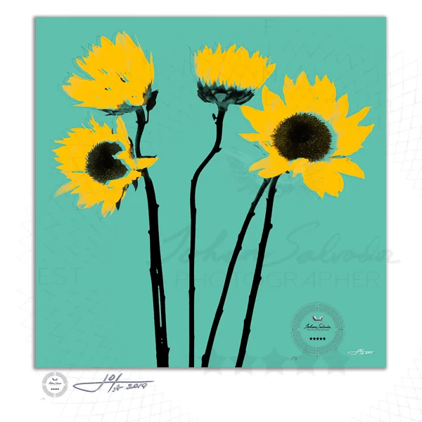 Fine Art Print | 16x16 | 20x20 | 30x30