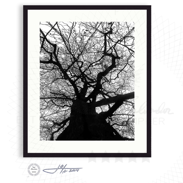 Black Frame | 16x20 | 20x24