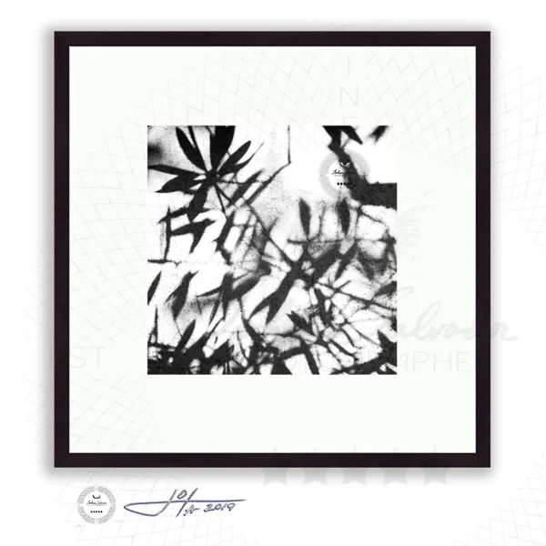 Tree Leaves on Concrete - Limited Edition Fine Art Photography