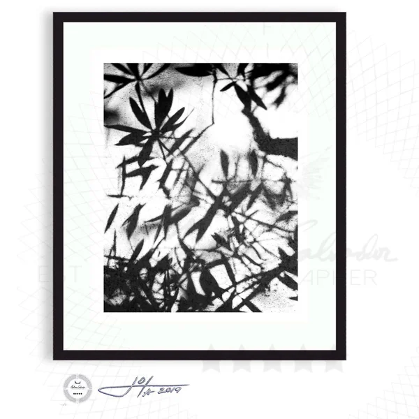 Tree Leaves on Concrete - Limited Edition Fine Art Photography