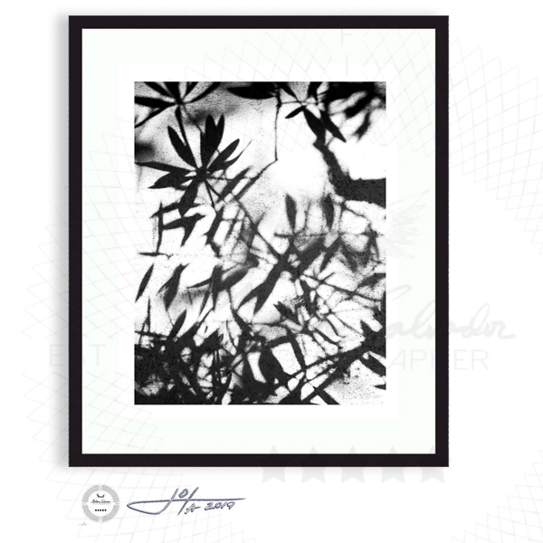 Tree Leaves on Concrete - Limited Edition Fine Art Photography