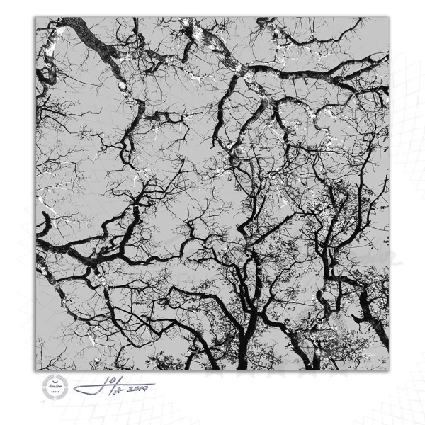 Fine Art Print | 16x16 | 20x20 | 30x30