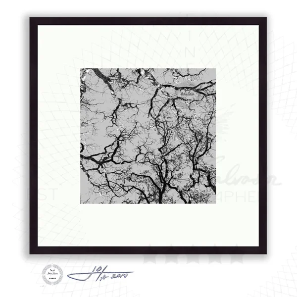 Black Frame | 16x16 | 20x20