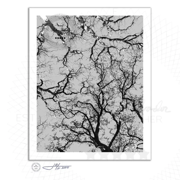 Fine Art Print | 16x20 | 24x30 | 40x50