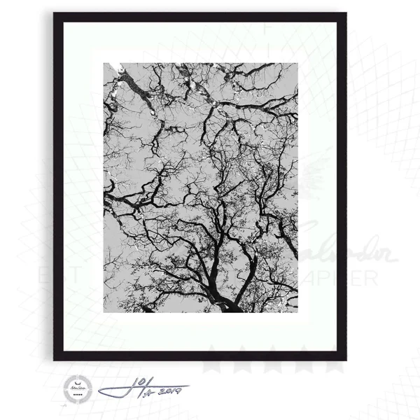 Winter's Shadow - Limited Edition Fine Art Photography