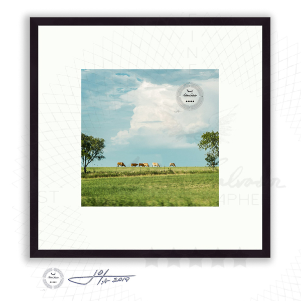 Black Frame | 16x16 | 20x20