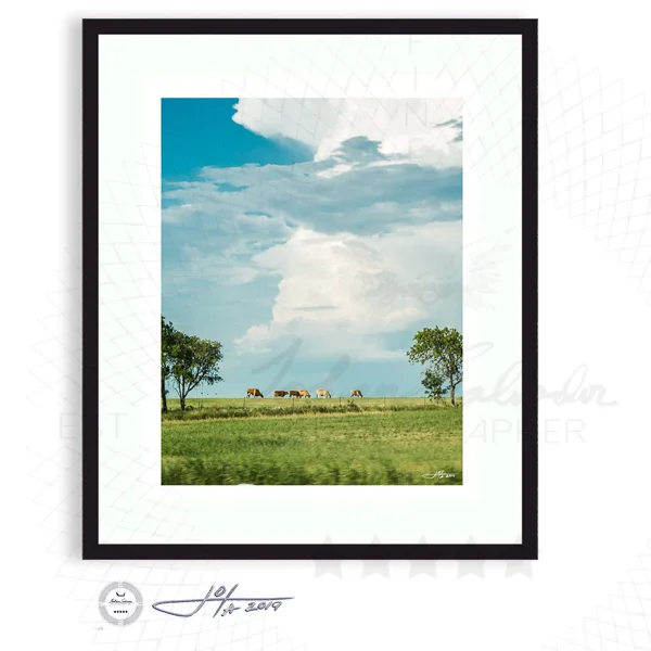 Black Frame | 16x20 | 20x24