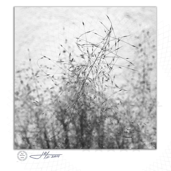 Fine Art Print | 16x16 | 20x20 | 30x30