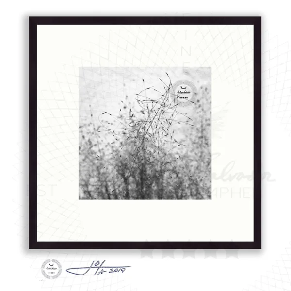 Black Frame | 16x16 | 20x20