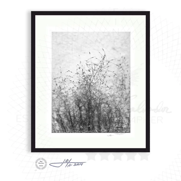 Black Frame | 16x20 | 20x24