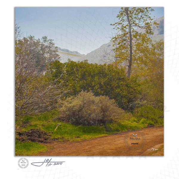 Fine Art Print | 16x16 | 20x20 | 30x30