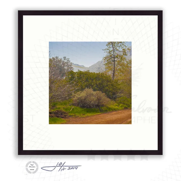 Black Frame | 16x16 | 20x20