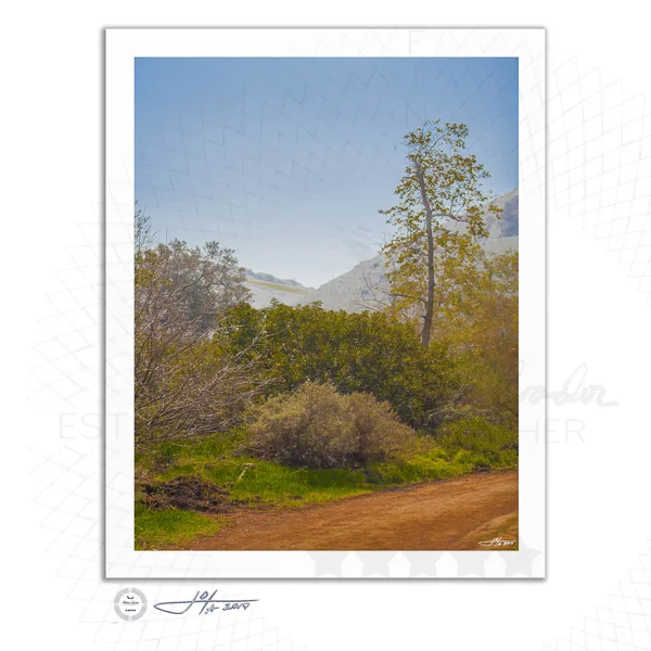 Fine Art Print | 16x20 | 24x30 | 40x50