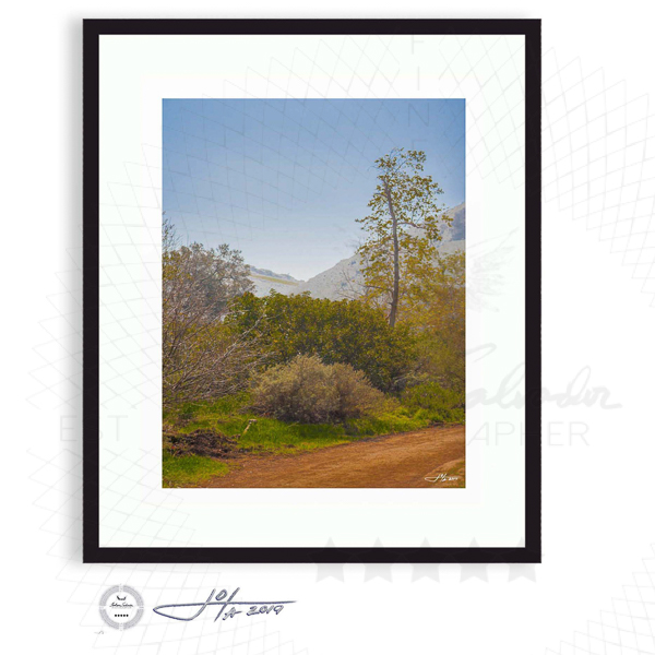 California Country Landscape - Limited Edition Fine Art Photography