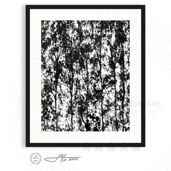 Black Frame | 16x20 | 20x24