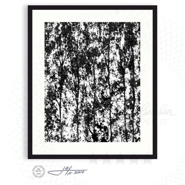 The Forest for the Trees No. 1 (Black and White) - Limited Edition Fine Art Photography