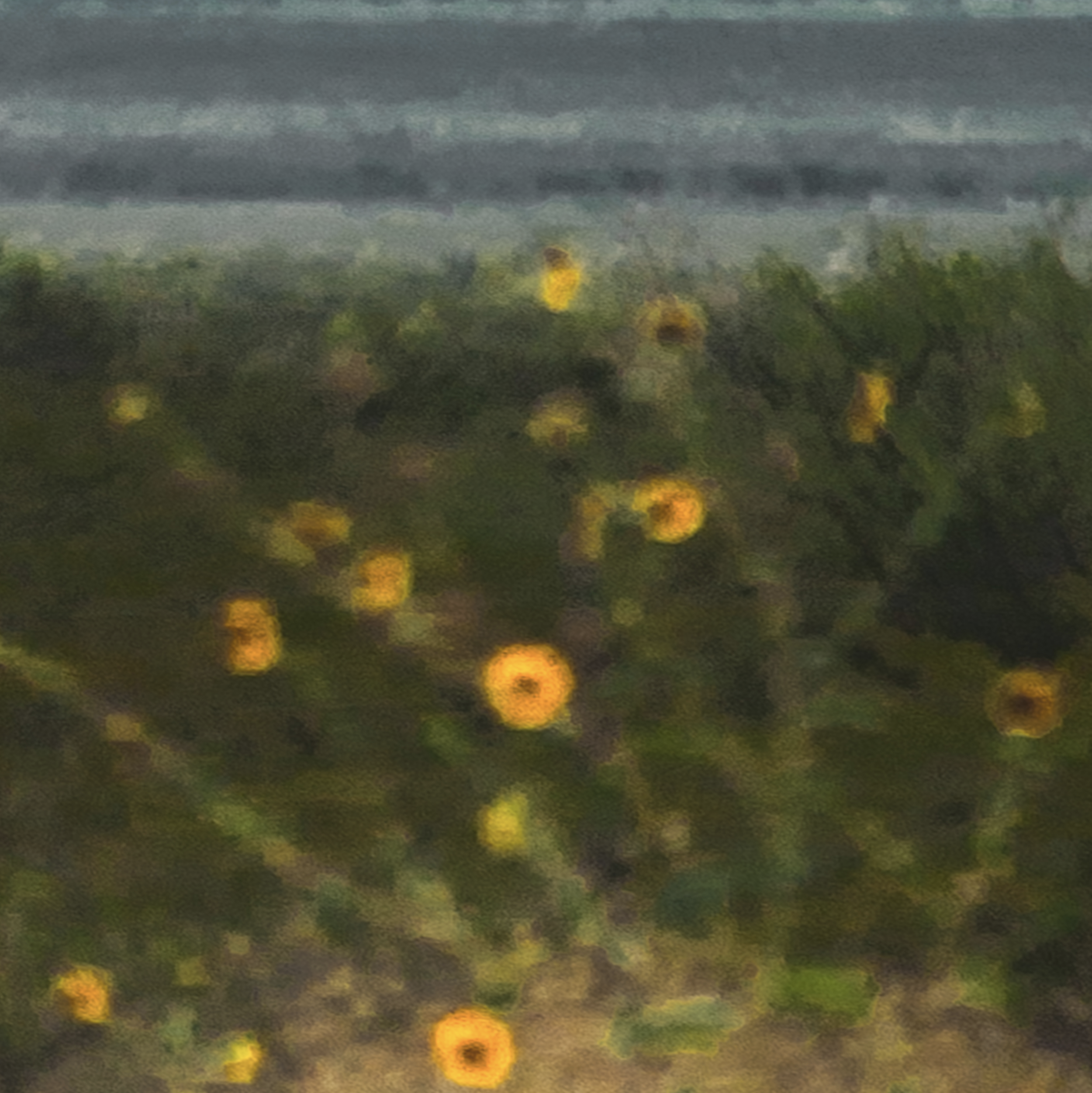 Screen Shot 2021-06-21 at 3.50.17 PM.png