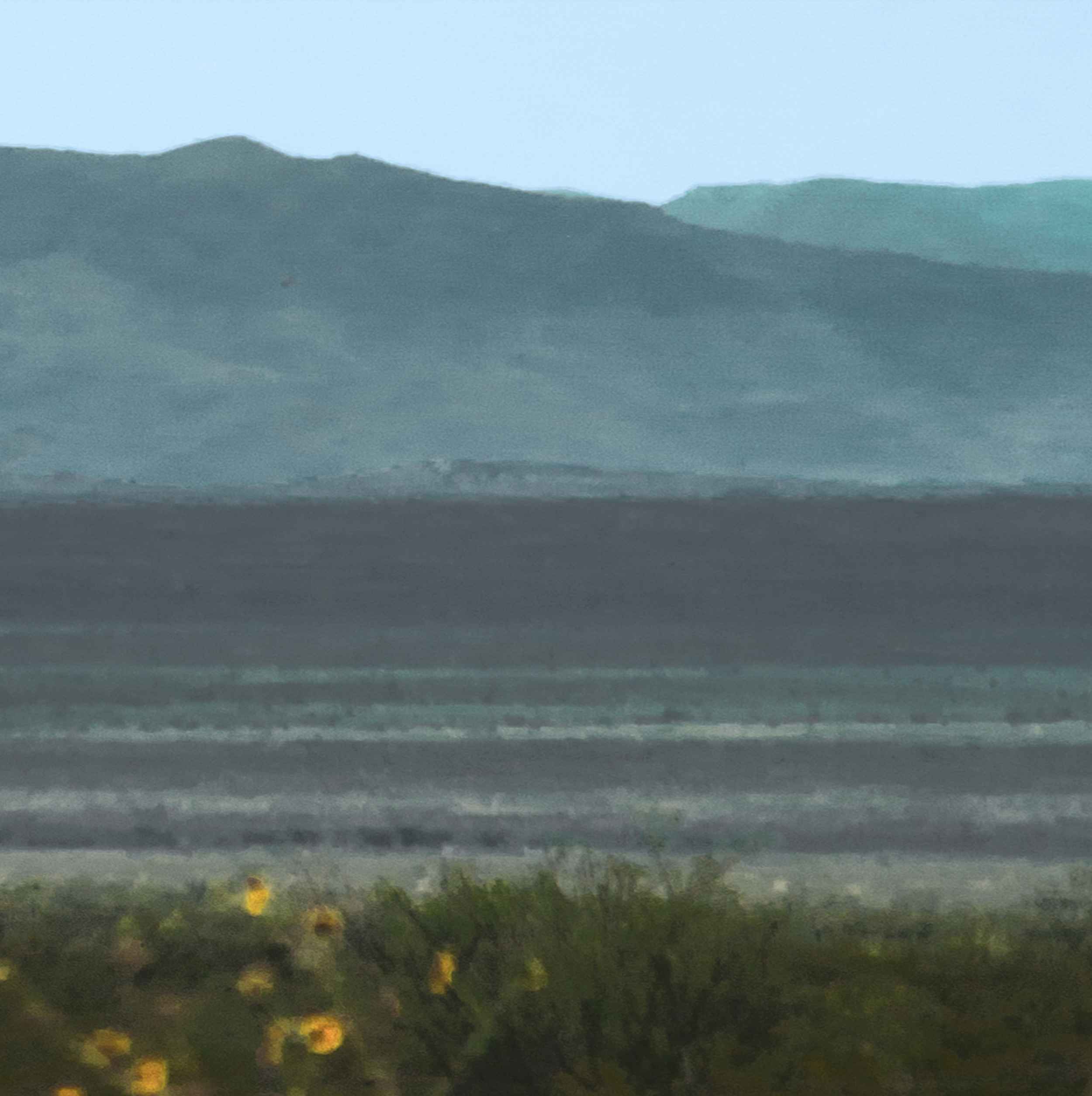 Screen Shot 2021-06-21 at 3.50.43 PM.png