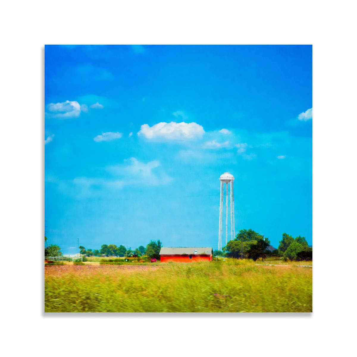 A Lush Southwestern Scene - Limited Edition Fine Art Photography