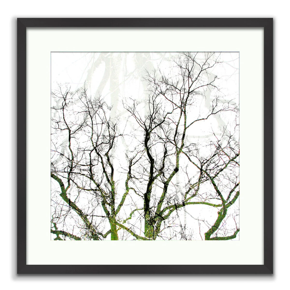 20200819-20100101-Branching Tree Reflection 2010.jpg