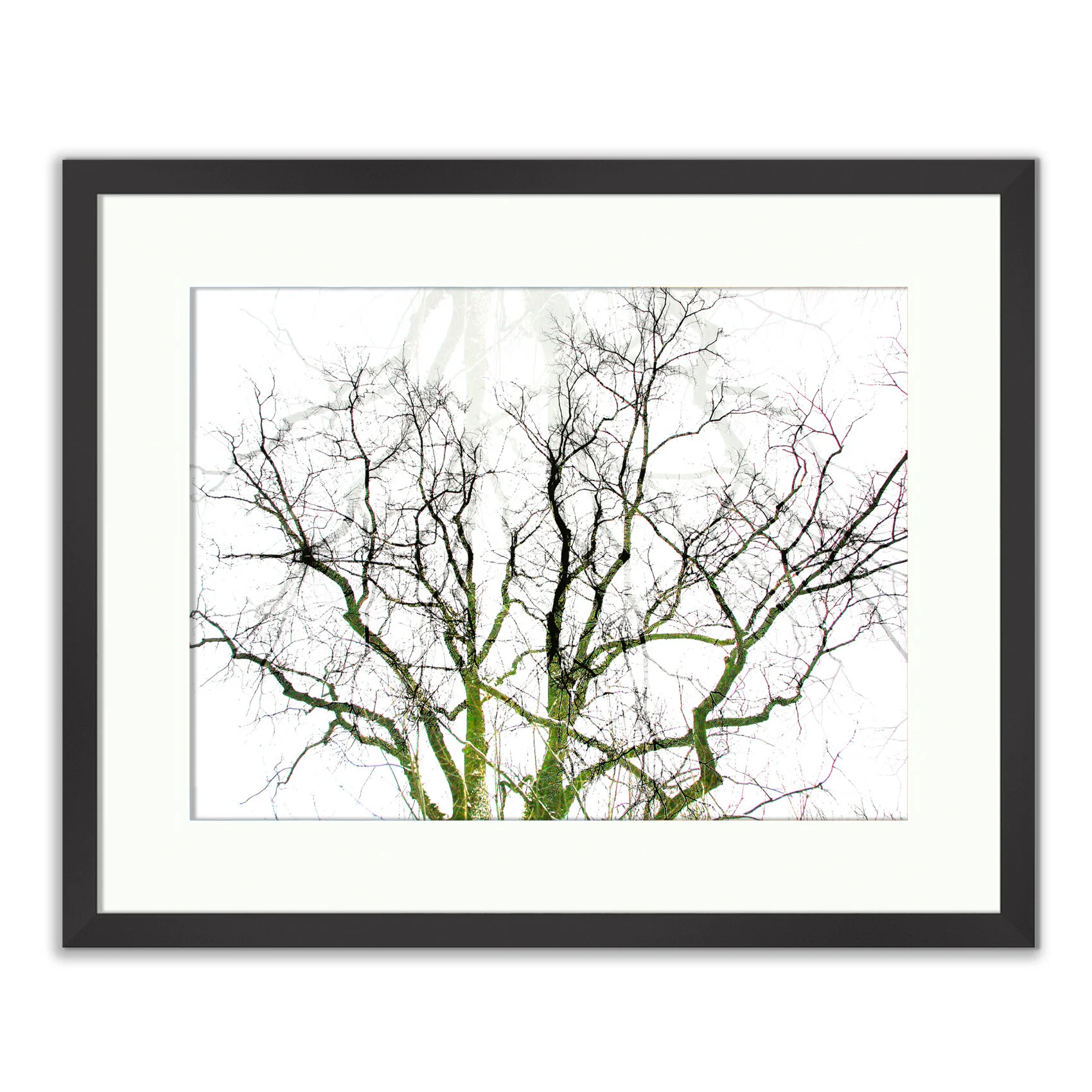 Framed Prints20100101-Branching Tree Reflection 2010.jpg