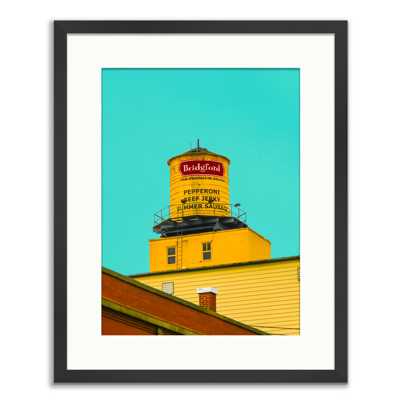 Framed Prints20150425-©_2015-Johan-Salvador-Chicago-4.jpg