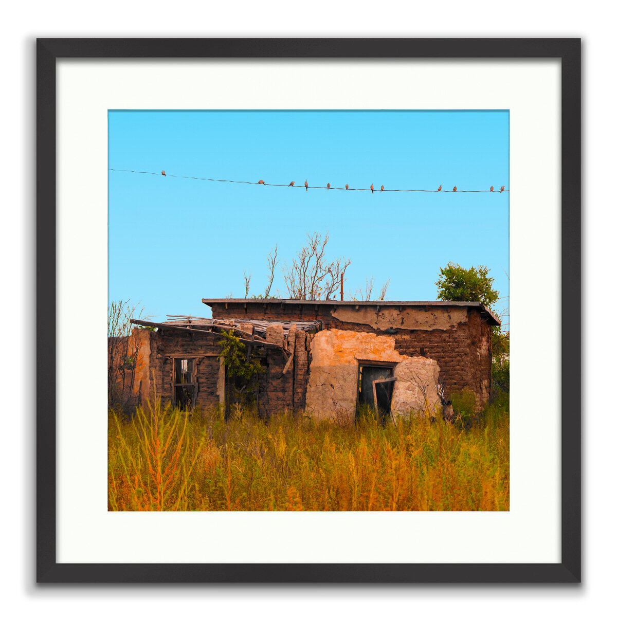 Birds on a Line - A Stop in Time - Limited Edition Fine Art Photography