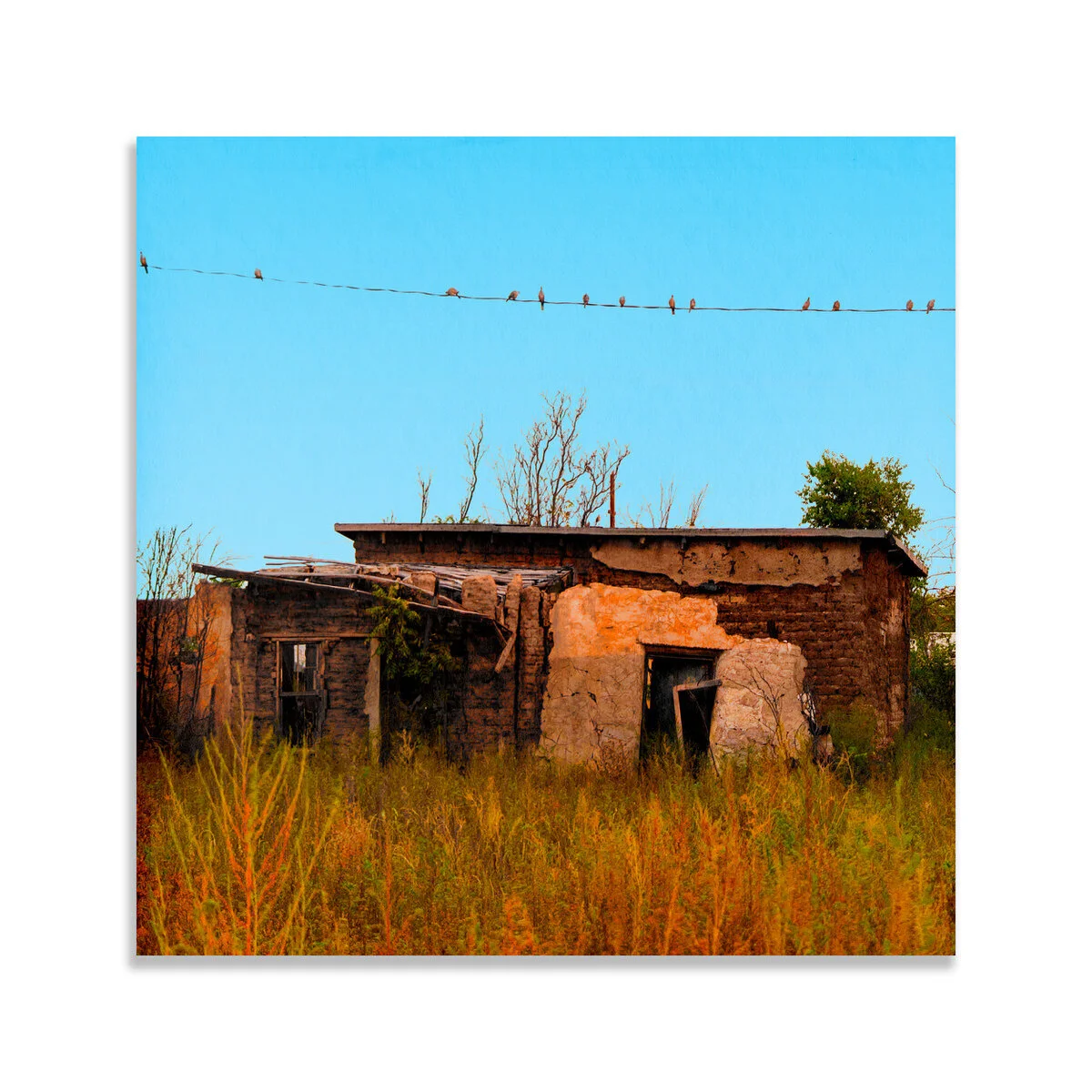 Birds on a Line - A Stop in Time - Limited Edition Fine Art Photography