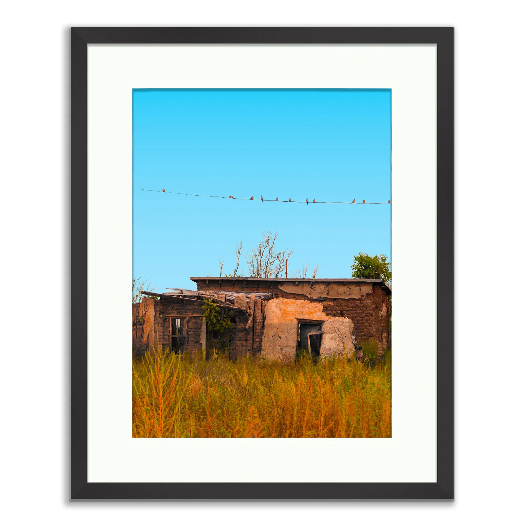 Birds on a Line - A Stop in Time - Limited Edition Fine Art Photography