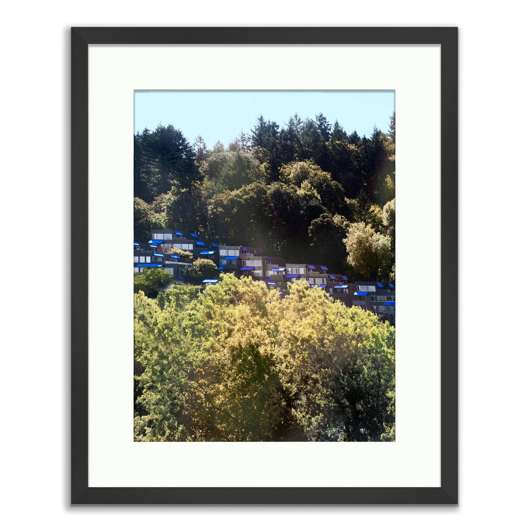 Framed Prints20150913-©_2015-Johan-Salvador-Portland-4.jpg