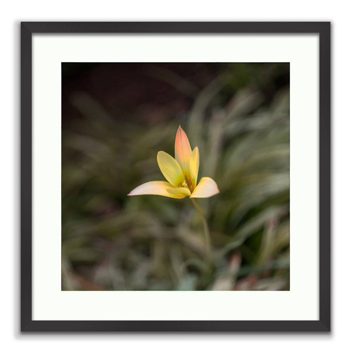20200819-20150403-©_2003-2019-JSP FINE ARTS - Flora - A Still Life.jpg