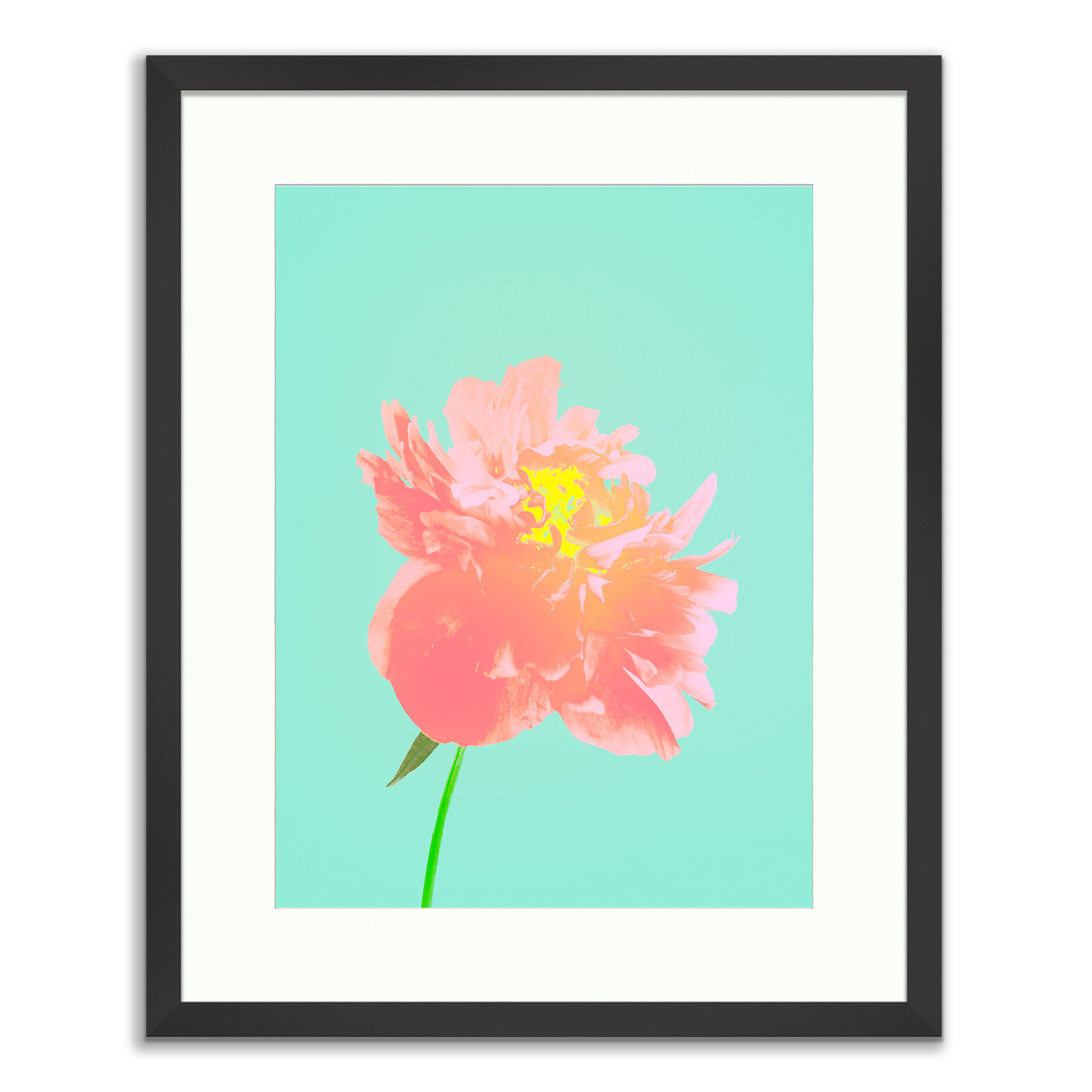 Framed Prints20150402-©_2003-2019 JSP FINE ARTS - The Thoughtful Peony.jpg