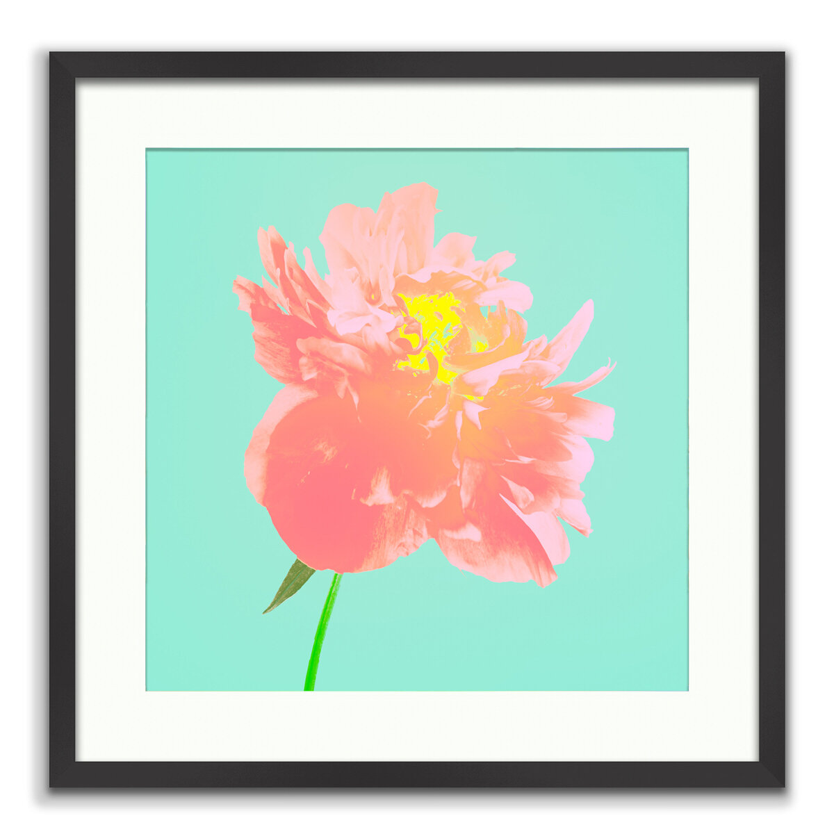 Flower Art featuring The Thoughtful Peony  - Limited Edition Fine Art Photography